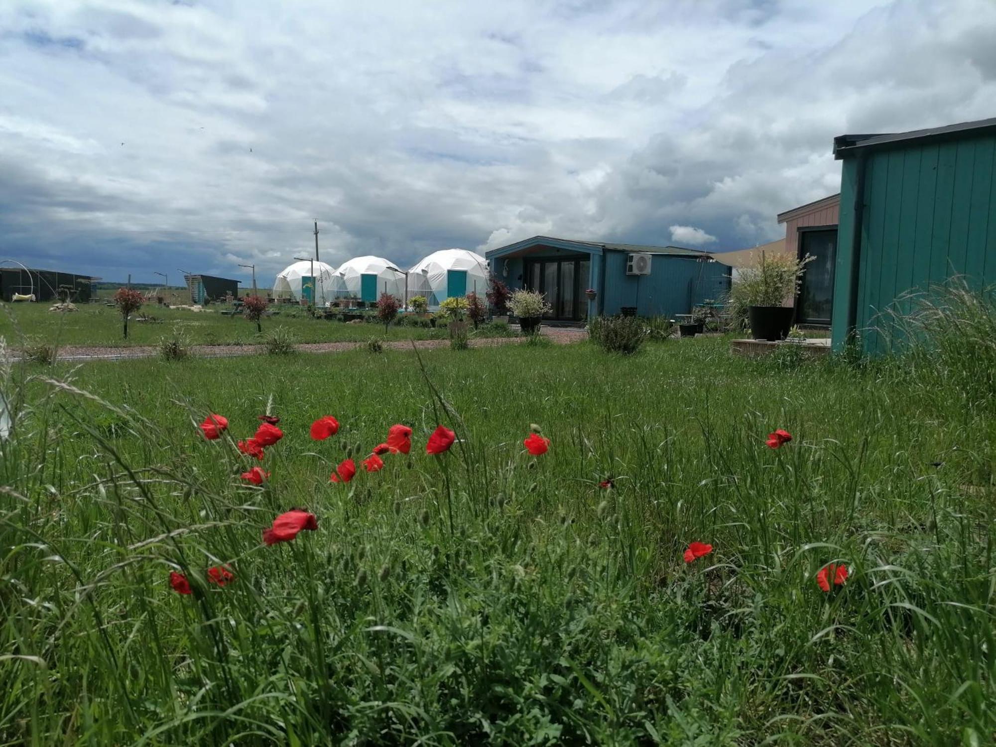 Mar A Lago Glamping23 Douăzeci şi Trei August المظهر الخارجي الصورة